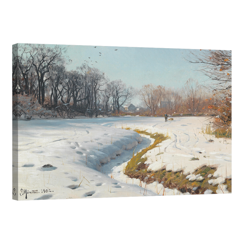 Слънчев зимен ден 1902