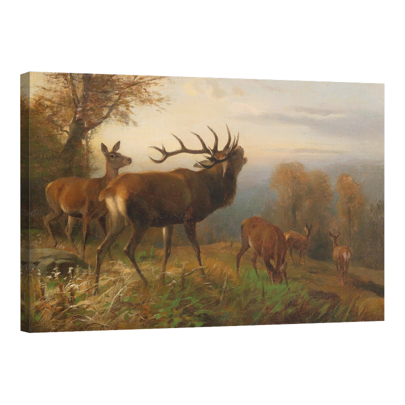 Стадо благородни елени 1892