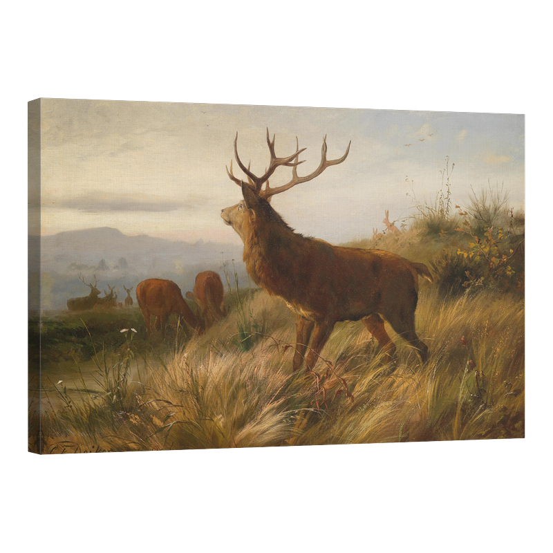 Стадо благородни елени