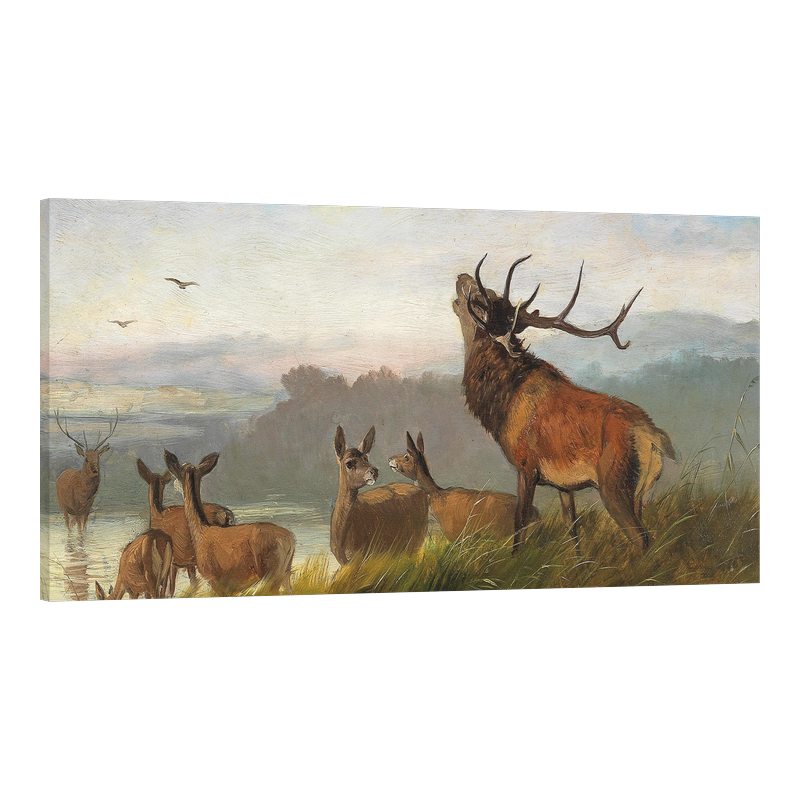 Съперниците