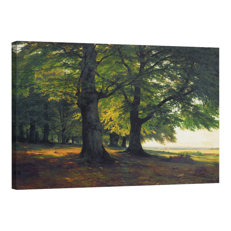 Сянка в гората