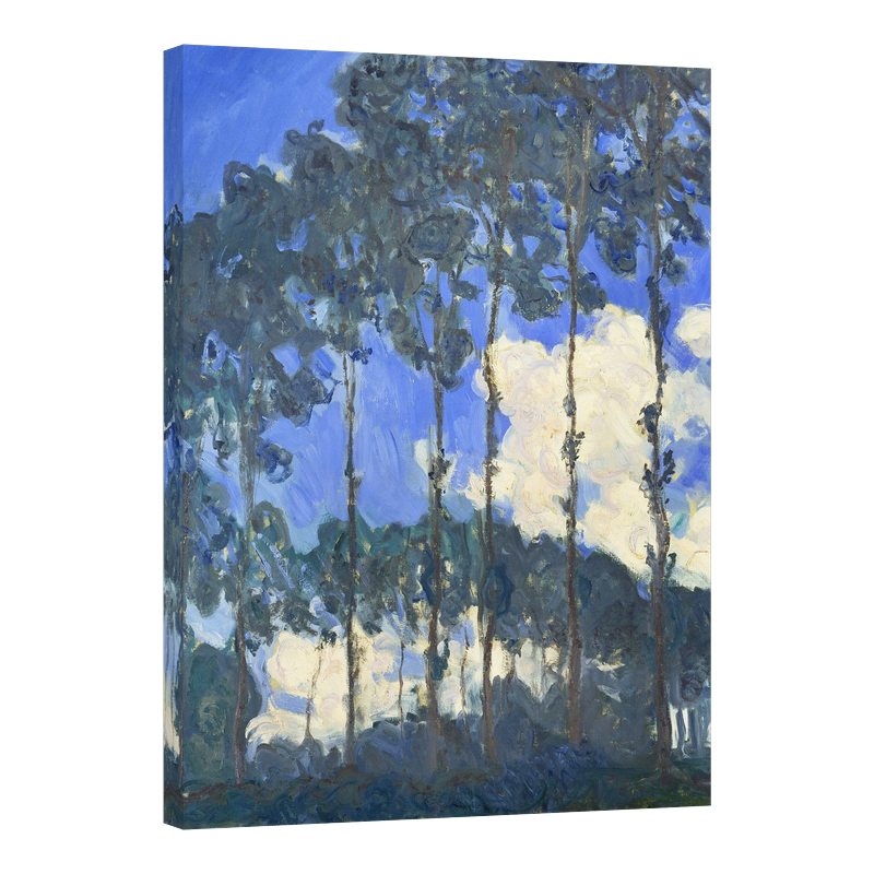 Тополи край р.Епте 02