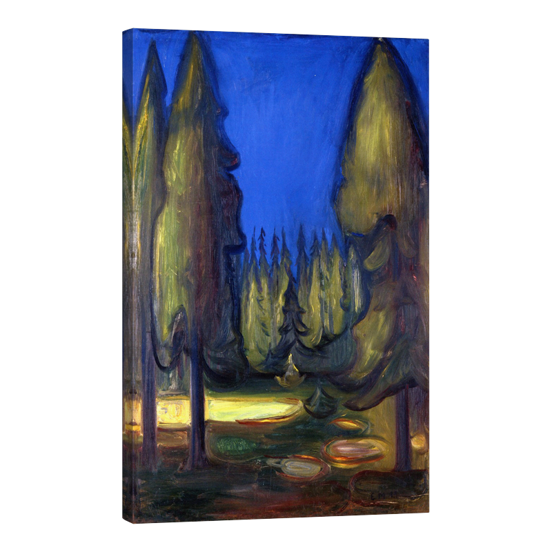 Тъмна смърчова гора