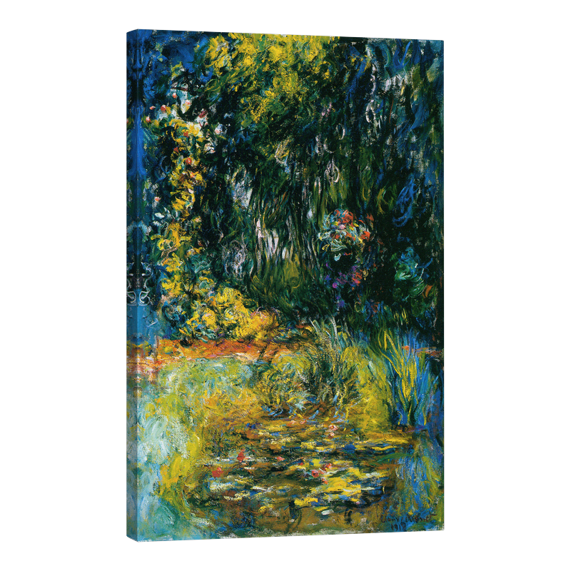 Ъгъл на езерото с водни лилии