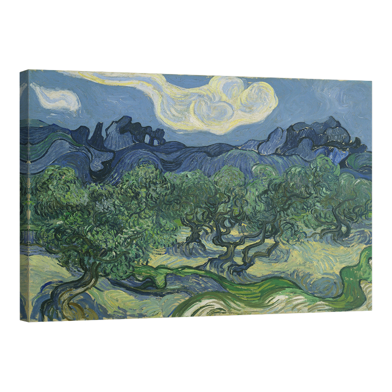 Маслинени дървета