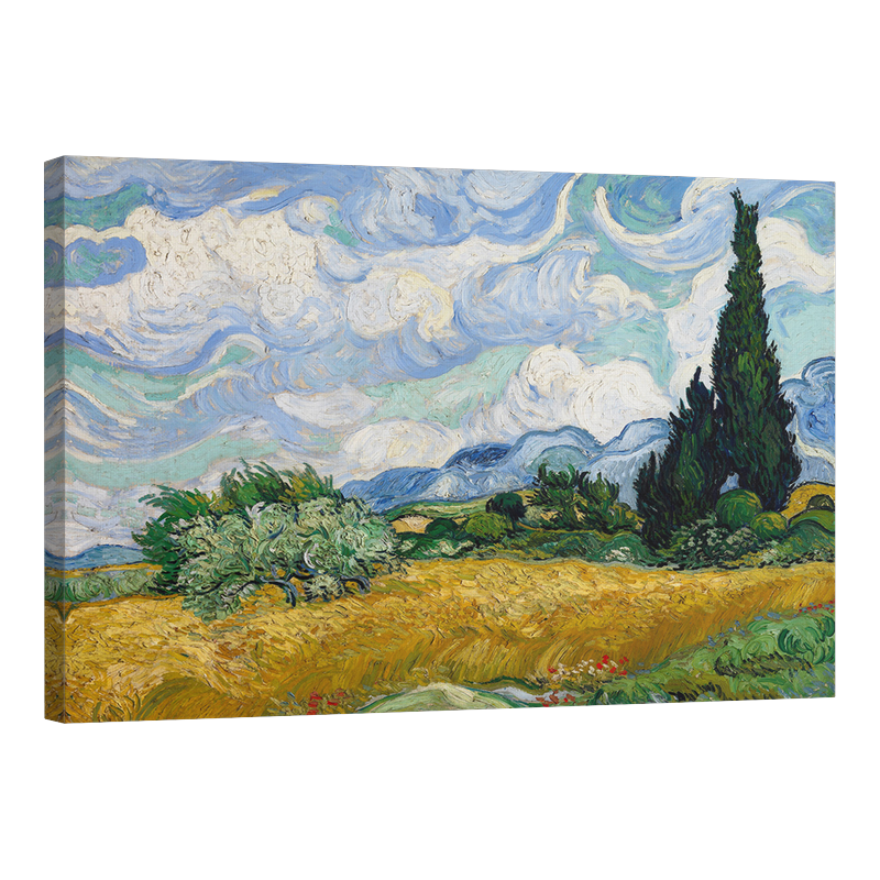 Поле с кипариси