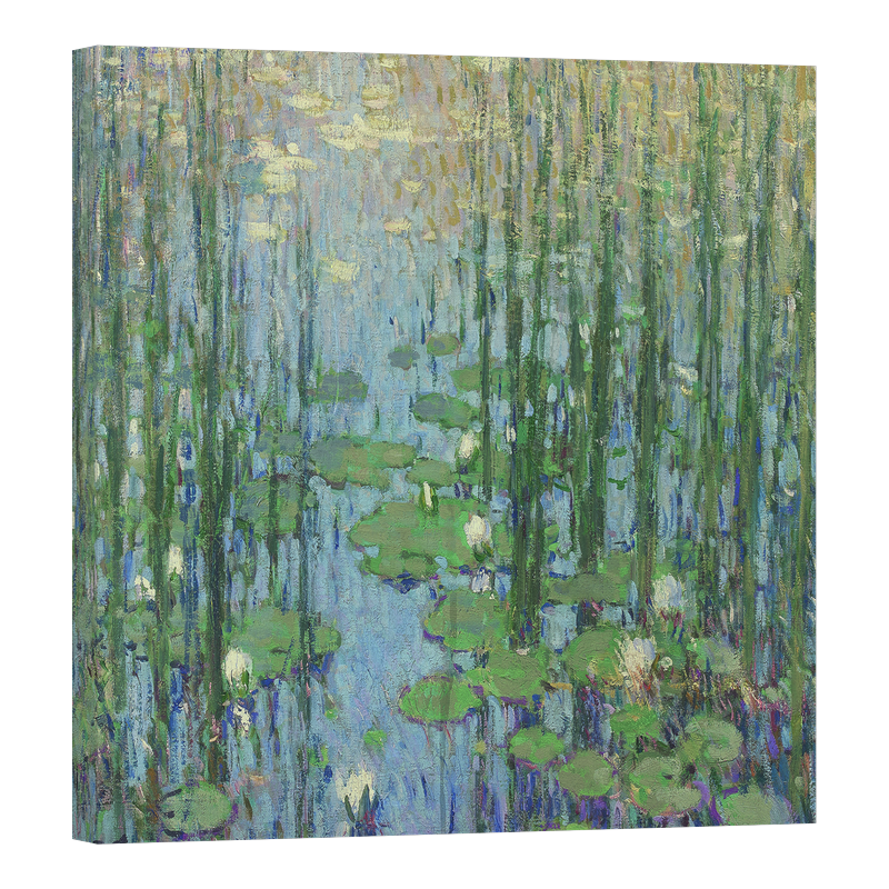 Водни лилии