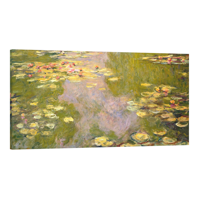 Водни лилии 6