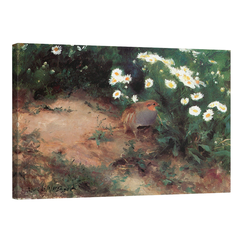 Яребица с маргаритки