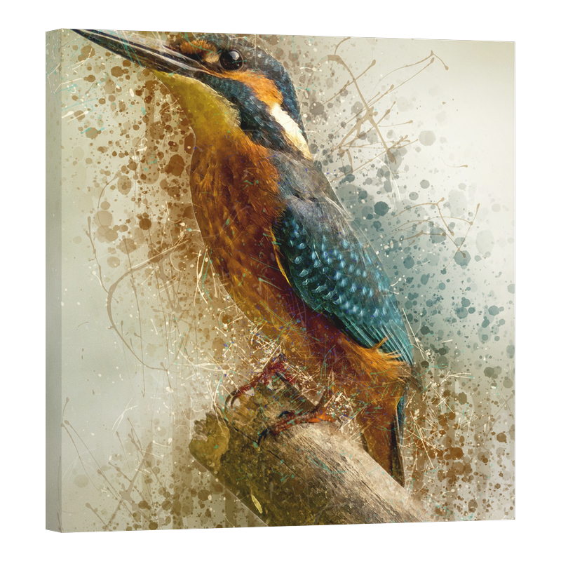 Земеродно рибарче 3